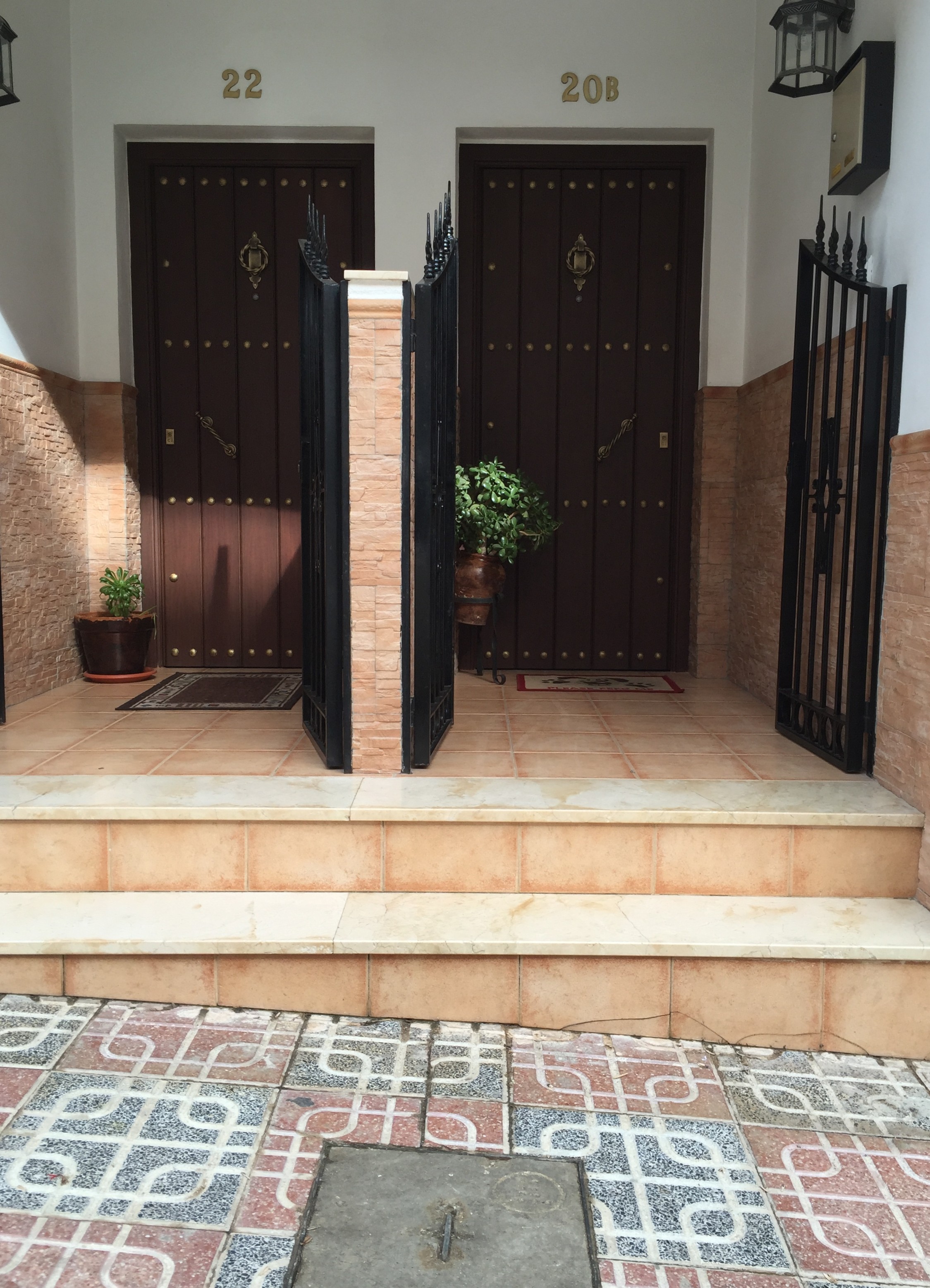 Puerta de rejas exterior en forja